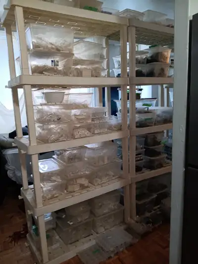 5-Tier White Heavy Duty Plastic Shelves, View more