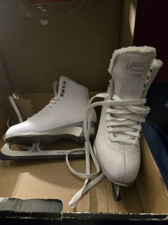 Figure skates  in Other in St. Catharines - Image 2