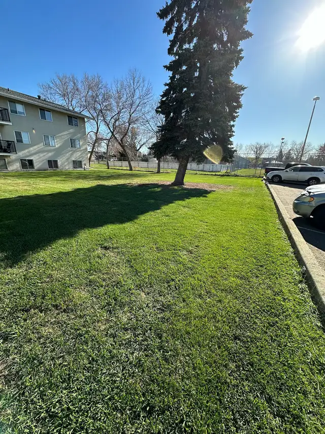 Professional Lawn Care in Lawn, Tree Maintenance & Eavestrough in Edmonton - Image 6