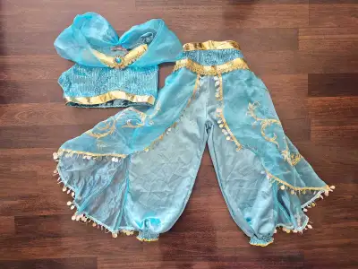 Jasmine costume kid size 8-10, View more