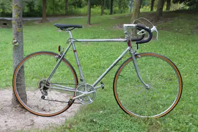Suteki Road Bike 12-Speed Shimano 27” Wheels 22½” Steel Frame –, View more