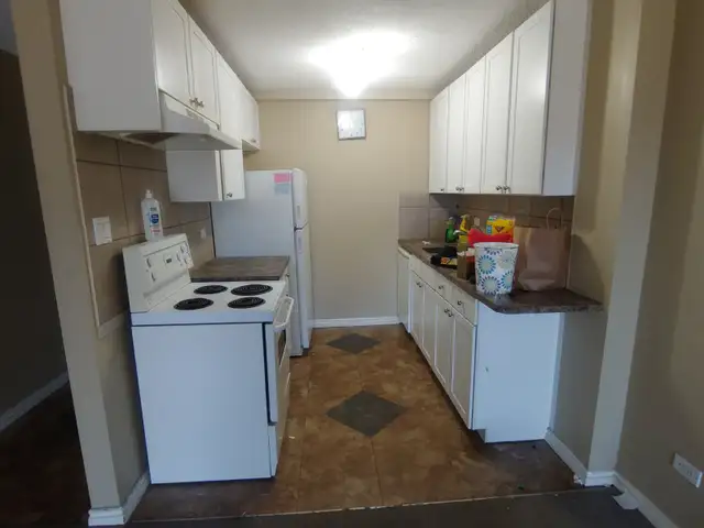 Sept 15th or Oct 1st, 1 Bedroom Condo in Mission Ares