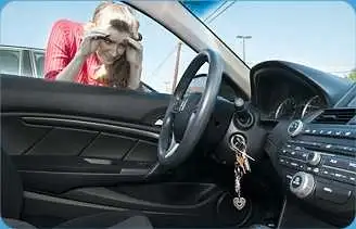 Locksmith for EVs and Trucks63793683879683120