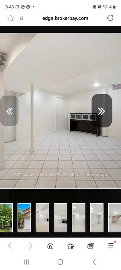 basment for rent