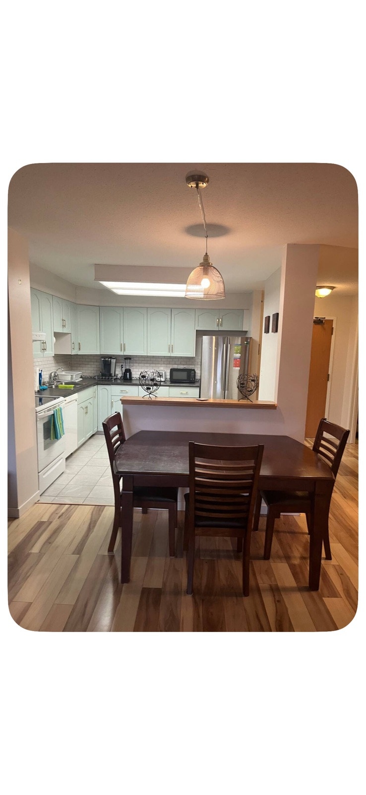 Downtown 1 Bedroom Condo for Rent for Dec 1 3