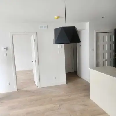 Condo 4 1/2  à louer avec animaux