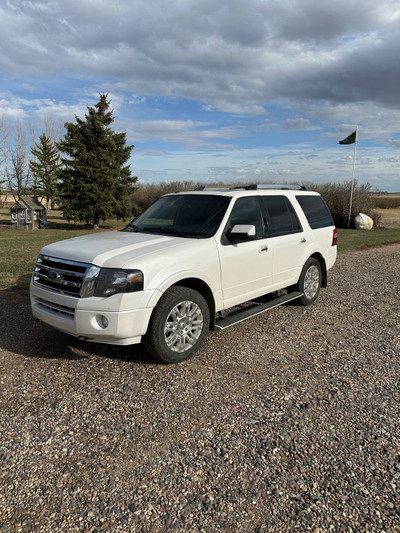 Ford expedition 2014