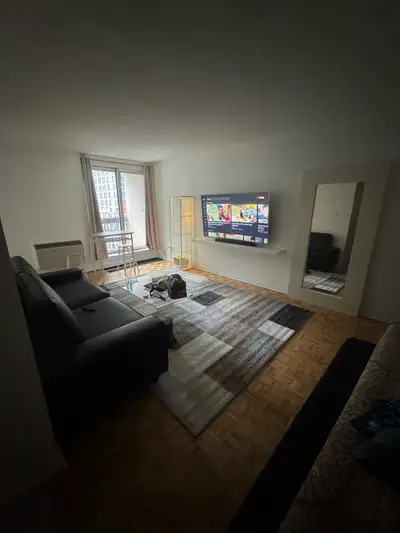 2 1/2 Lease transfer in Downtown Montreal