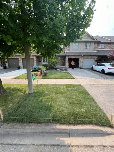 Professional and reputable landscape contractor offering sod removal & installation services in the...