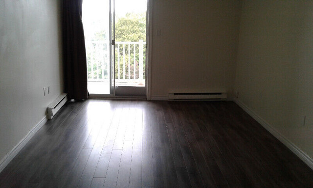 Rent: Clayton Park West newly renovated 2 bedroom+den condo unit in Long Term Rentals in City of Halifax - Image 3