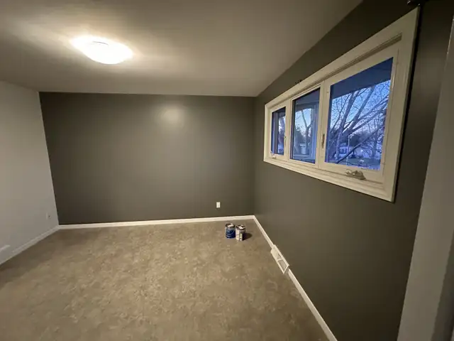 renovation services drywall,framing,flooring,tape,mud,painting in Renovations, General Contracting & Handyman in Winnipeg - Image 5