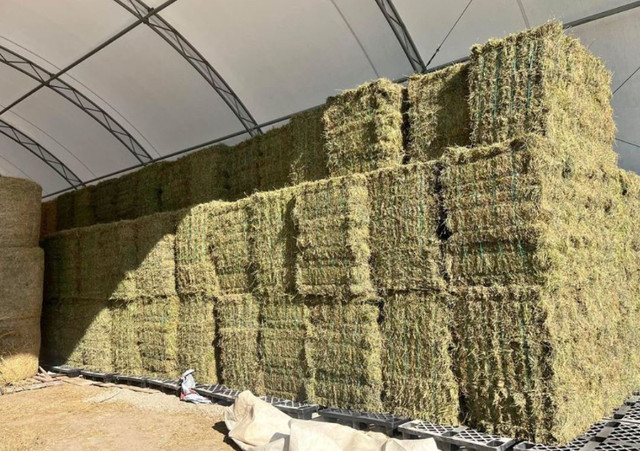 Round Bales of 1st and 2nd cut Hay and 2nd cut Square Bundles in Equestrian & Livestock Accessories in Oshawa / Durham Region - Image 3