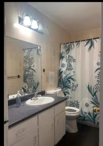 Room for Rent , View more