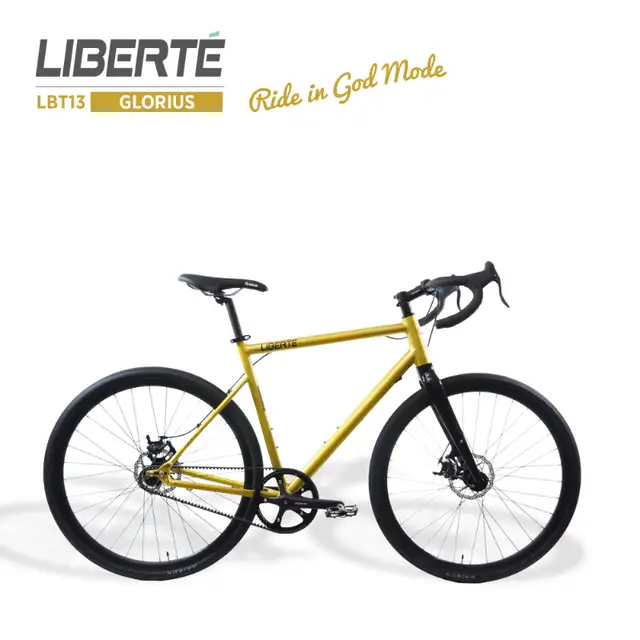 Liberté Belt-Drive All-Terrain Single Speed Bike-FREE SHIPPING in Fixie (Single Speed) in City of Toronto - Image 5