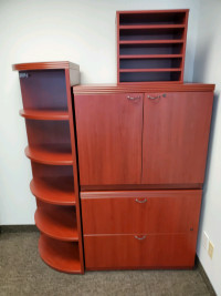Bookshelves and filing cabinet
