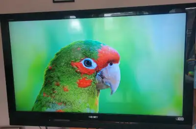 Sony Bravia No stand, View more