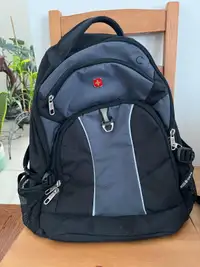 Swiss Gear Backpack (electronics have separate compartments each