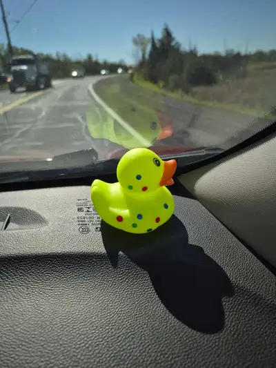 iso babysitter , View more