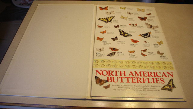 Butterfly Wall Chart Book - Life Size Colored Pictures in Non-fiction in Saint John - Image 3