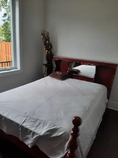 1 bedroom ensuite for rent - professional females only