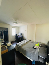 Private Room for Rent in Kingston