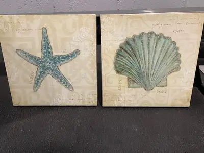 Seashell and Starfish Pictures, View more