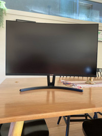 Acer 25” LCD Monitor (no power cord)