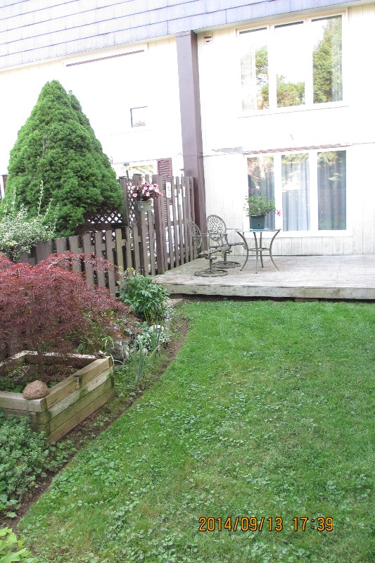 furnished apt for rent 1400 monthly Cowie Hill area Long Term