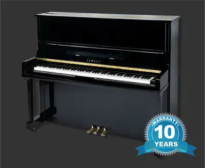 Manufactured in 1995 H 1.21 m x W 1.51 m x D 0.62 m (H 3′ 11″ x W 4′ 11″ x D 2′ 0″) Finish: Black Gl...