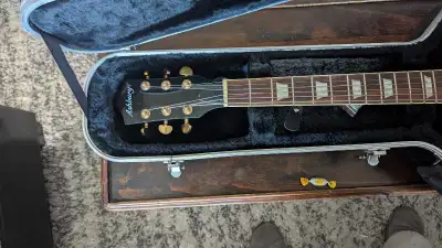 Ashbury Bigsby Electric jazz guitar. Comes with hard case.
