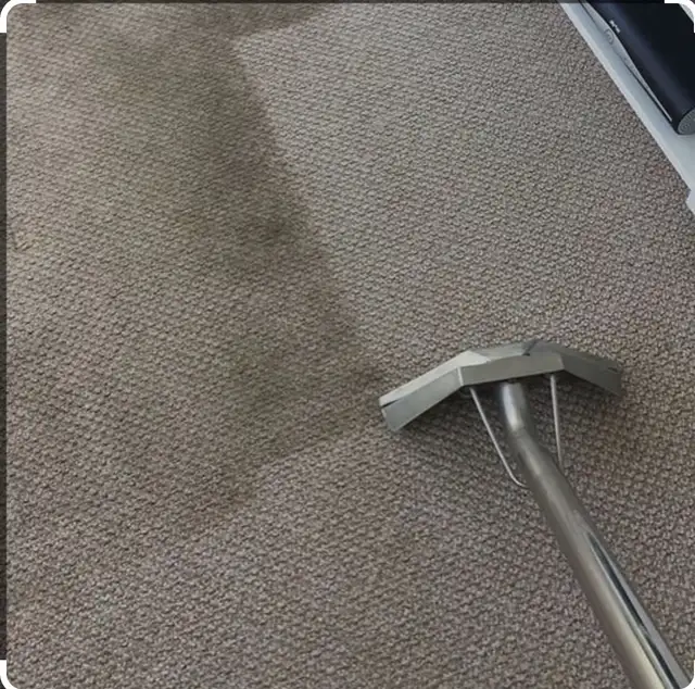 DAL’S CARPET CLEANING62864742448769121