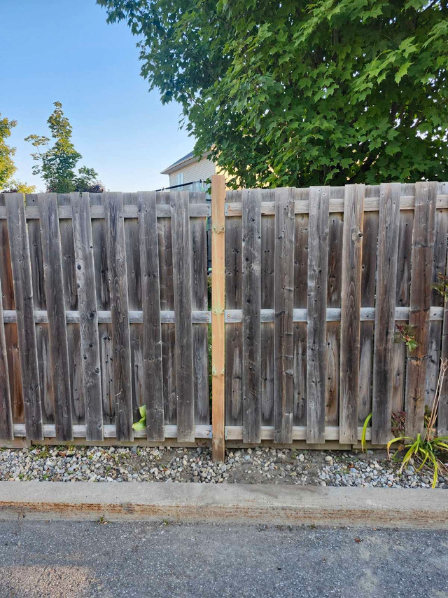 Fencing  repairs   and new installation - Ottawa in Fence, Deck, Railing & Siding in Ottawa - Image 3