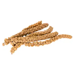 Oiseaux -20% de rabais Boite neuve de millet en grappe de 5lbs, View more