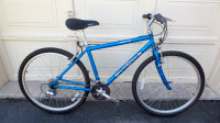 Diamondback Mountain Bike