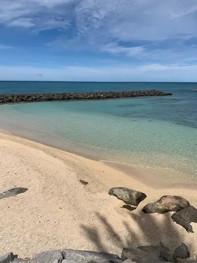 This is a 1 bed, 1 bath condo that sleeps 4. OCEAN FRONT, walk to the beach and 2 pools onsite, picn...