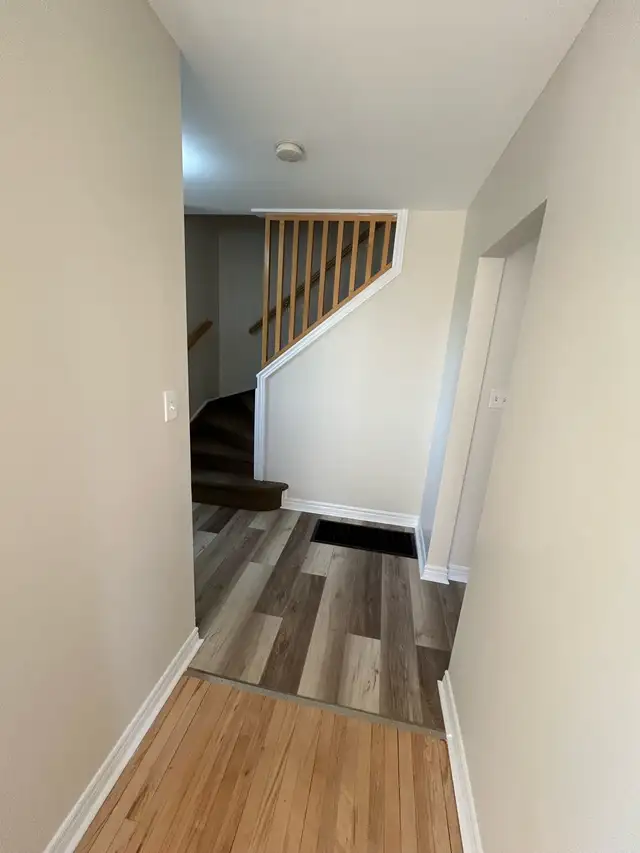 PAINTING SERVICES in Painters & Painting in Trenton - Image 7