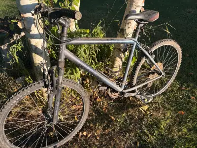 3 bikes Trek, Fuji, BRC. , View more