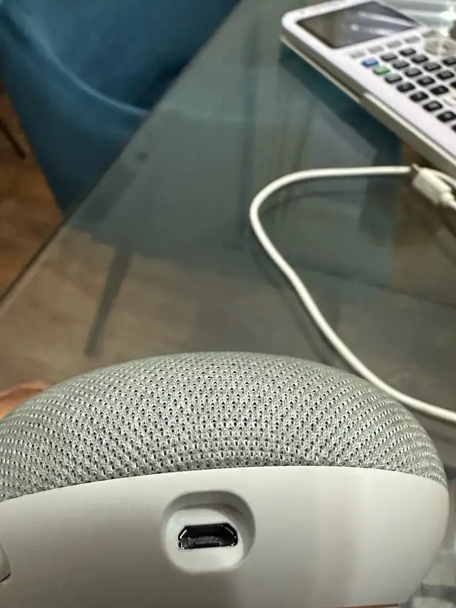 Google home mini 1st gen 471851187401533441