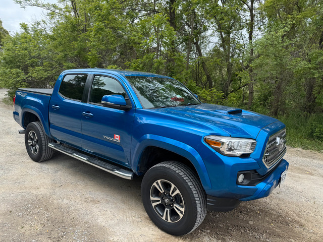 2016 Toyota Tacoma  in Cars & Trucks in Markham / York Region - Image 2