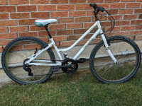 serviced by hobby-bike mechanic 26" wheels, suspension seat post