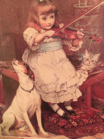 VIOLIN LESSONS