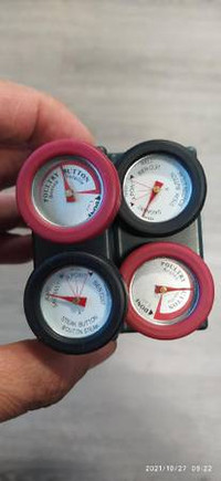 Genius Button Thermometers 4-Pack -steak-poultry
