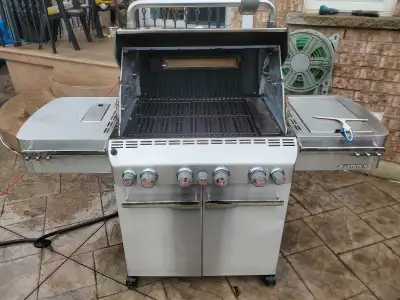 Bbq Cleanings Professional!, View more