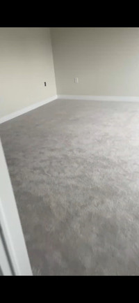 Carpet Brand New