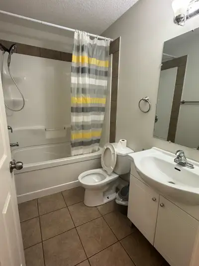 Furnished Downtown Basement Suiet | 2 Bedroom +  1 Bath Rental