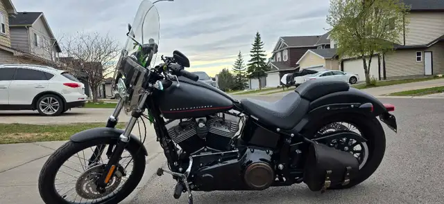 harley davidson blackline in Street, Cruisers & Choppers in Calgary - Image 2