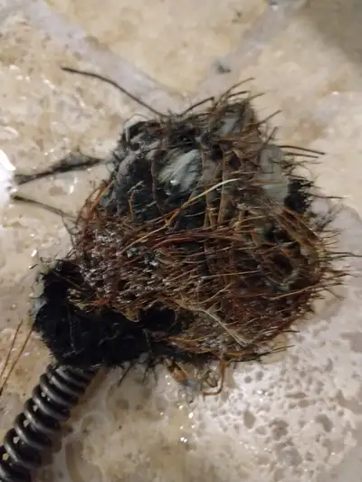 DRAIN SNAKE ROUGH IN WASHROOM SUMP PUMP ISSUE WATERPROOFING WET, View more