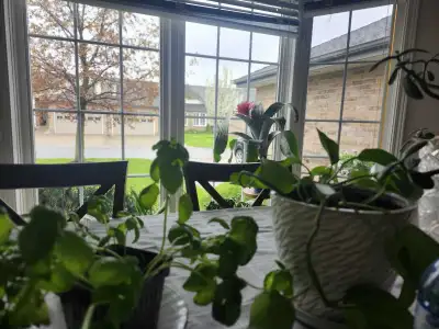 Ride available , View more