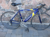 Devinci Chicane road bike