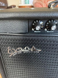 Evan’s Duo Amplifiers and Cover